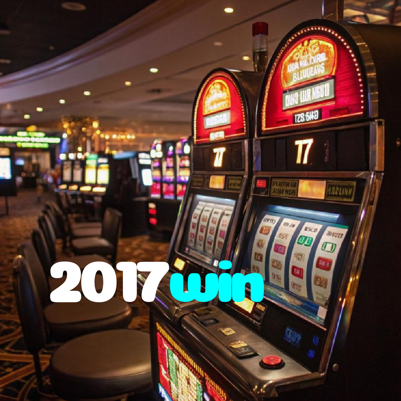 2017win