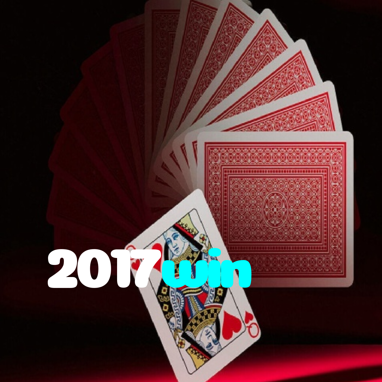 2017win