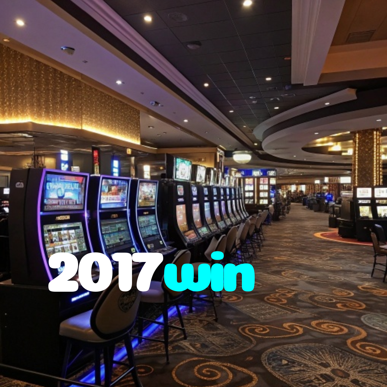 2017win