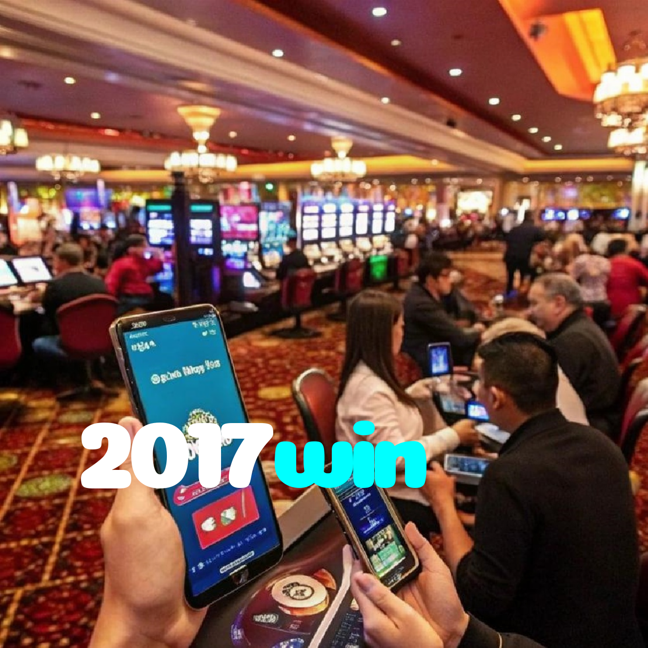 2017win