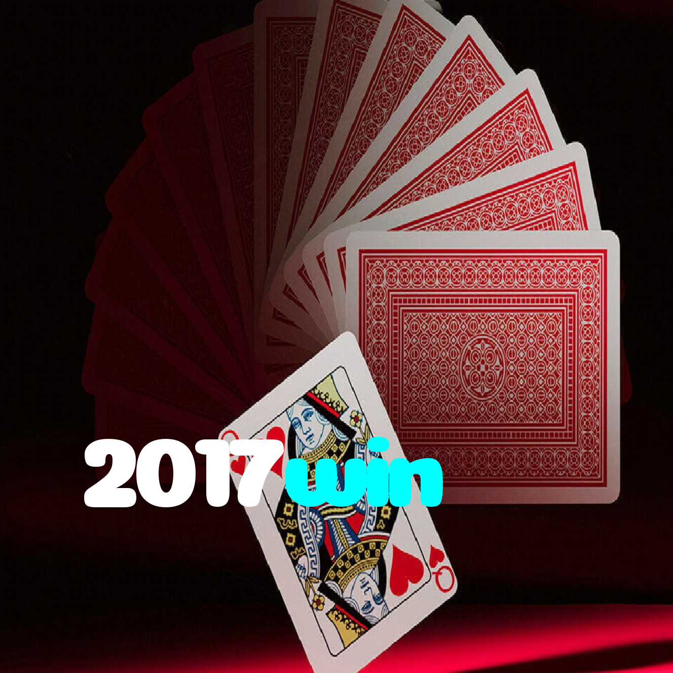 2017win