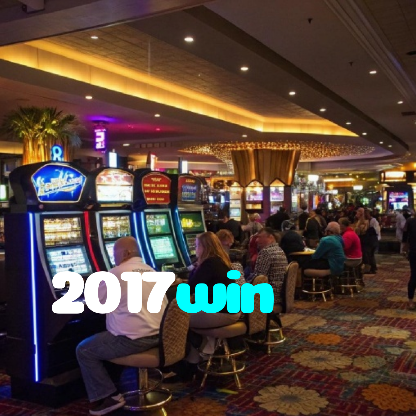 2017win