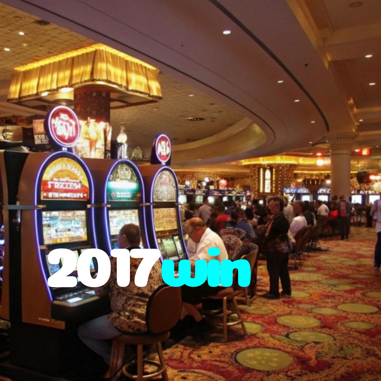 2017win