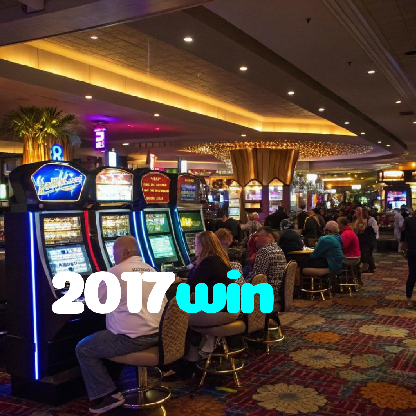 2017win