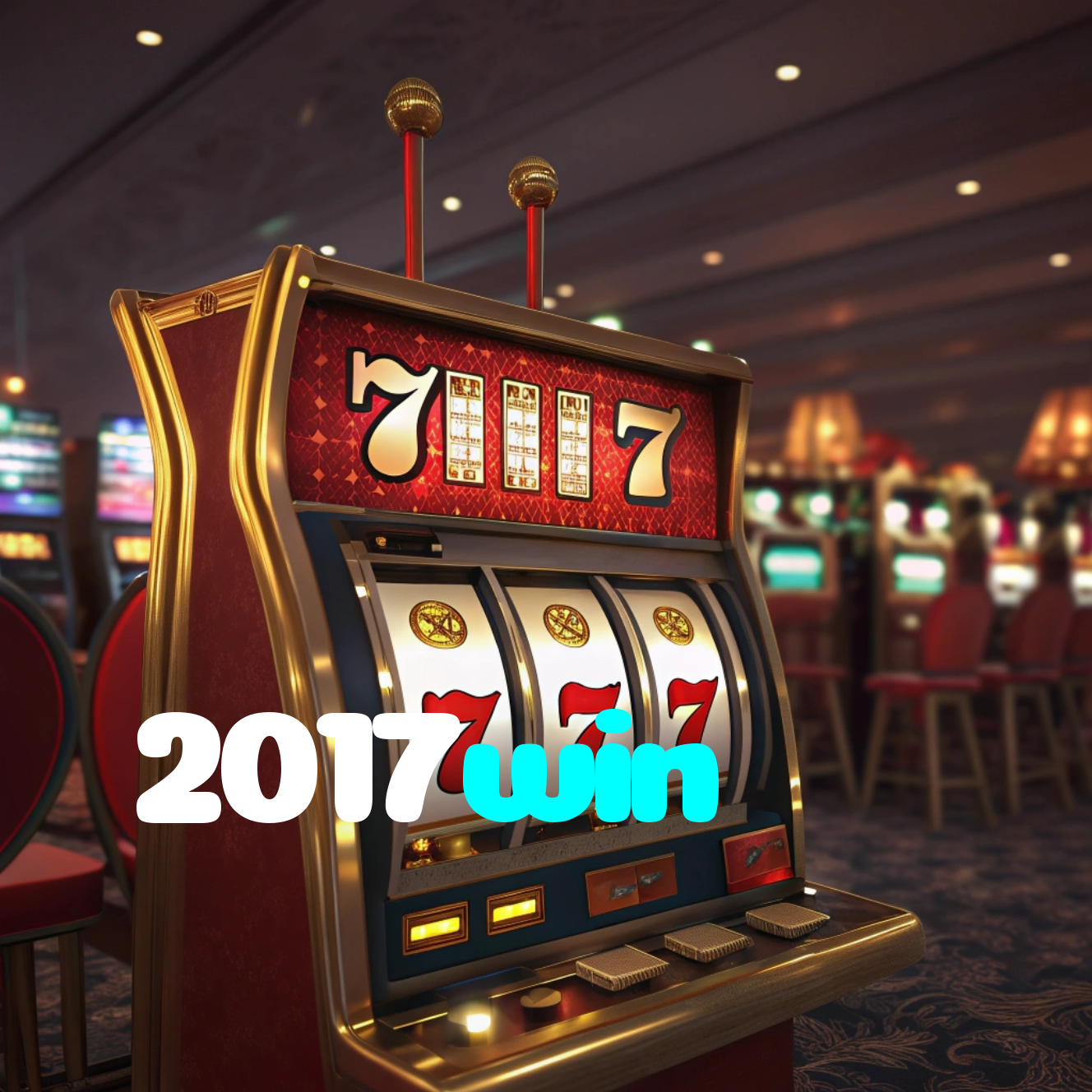 2017win