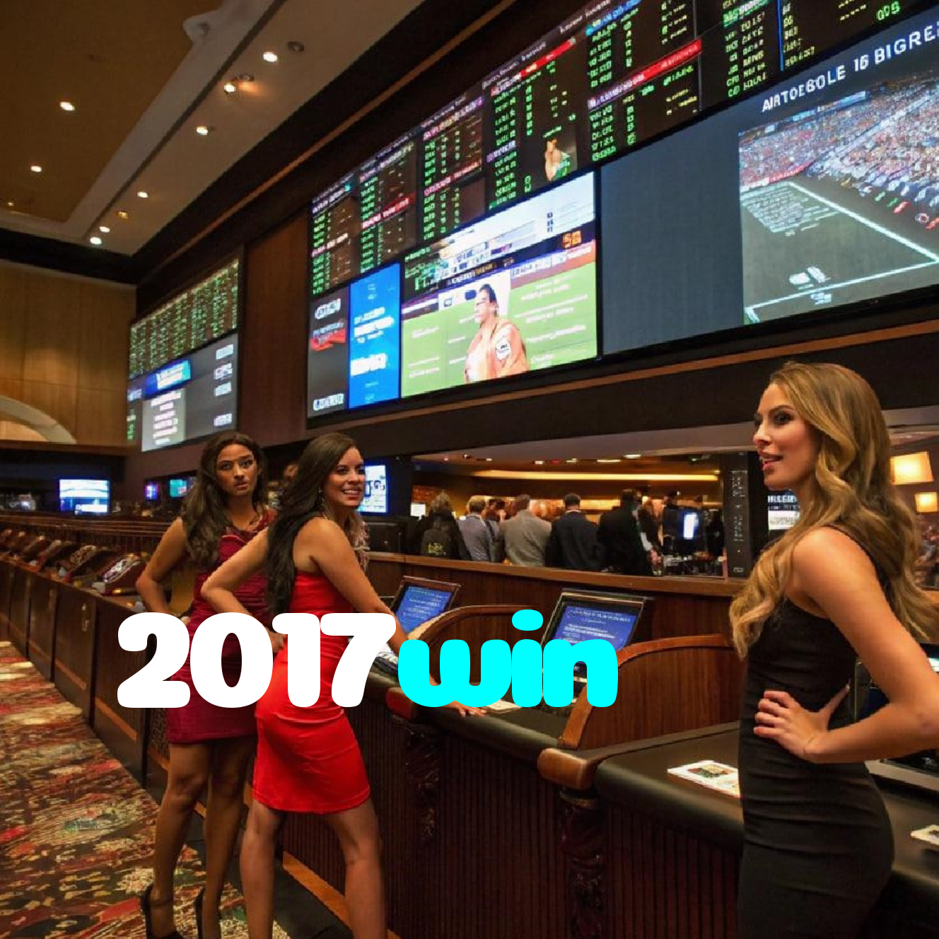 2017win